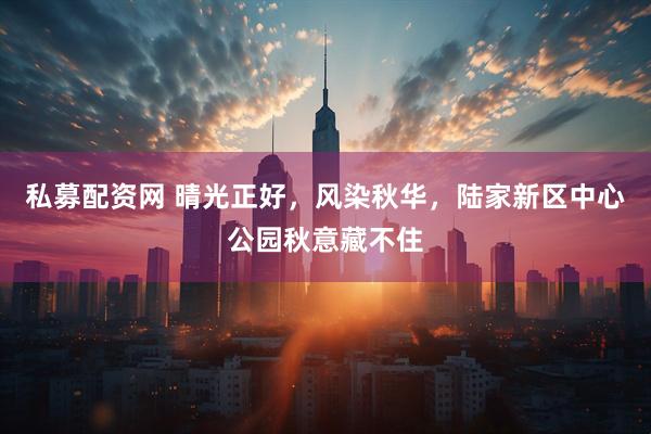 私募配资网 晴光正好，风染秋华，陆家新区中心公园秋意藏不住