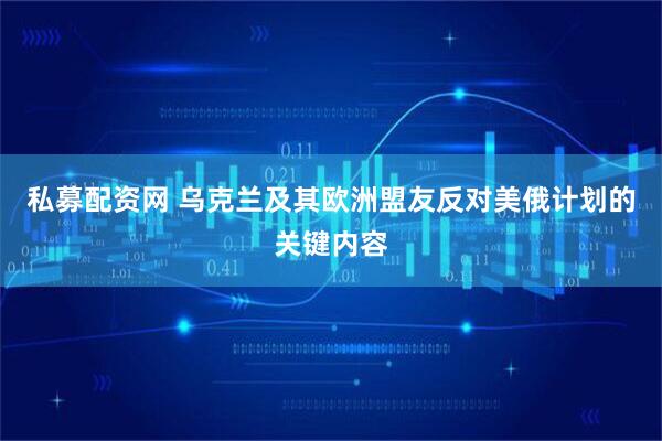 私募配资网 乌克兰及其欧洲盟友反对美俄计划的关键内容