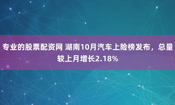 专业的股票配资网 湖南10月汽车上险榜发布，总量较上月增长2.18%