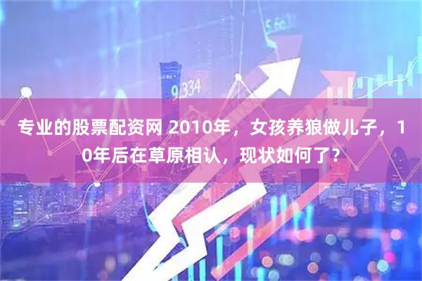 专业的股票配资网 2010年，女孩养狼做儿子，10年后在草原相认，现状如何了？